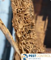 Termite Inspections Brisbane image 2